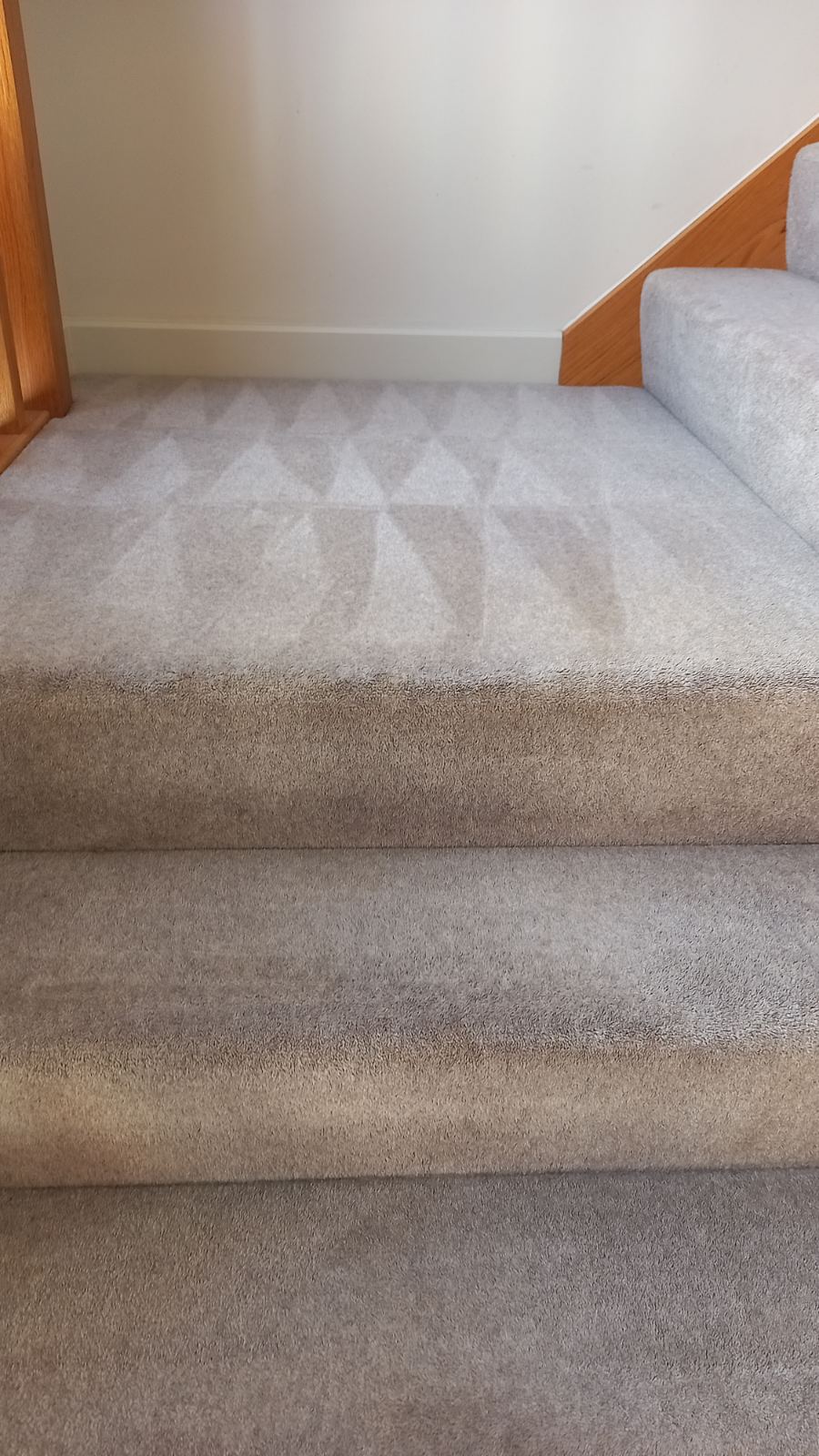 Carpet and Upholstery Cleaning 3